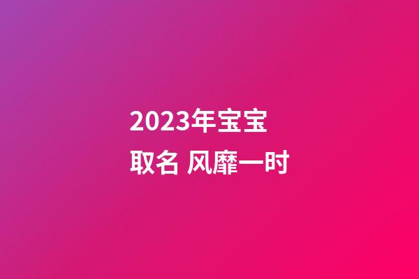 2023年宝宝取名 风靡一时
